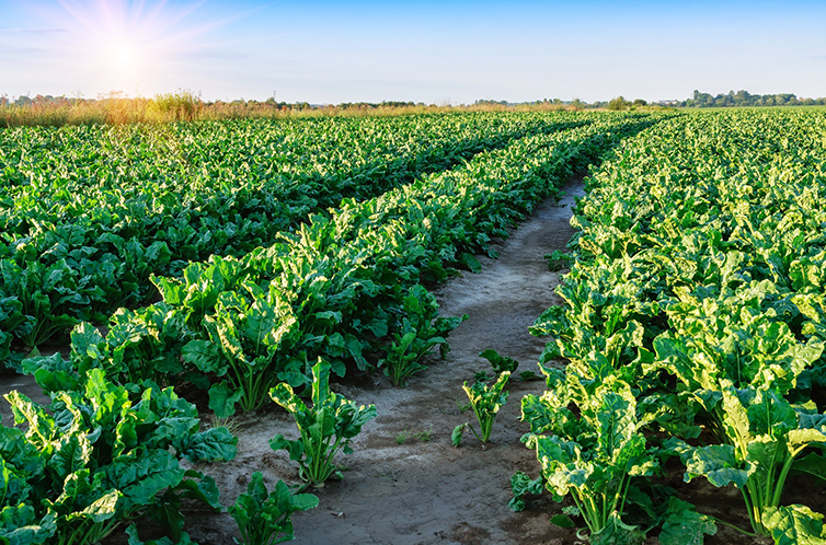 爱游戏体育官网网页登入